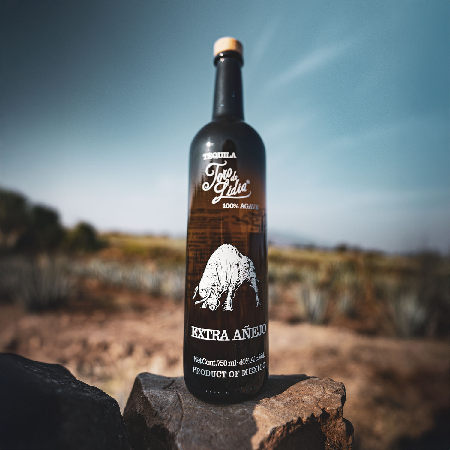 tequila-toro-de-lidia_0000_Extra Añejo