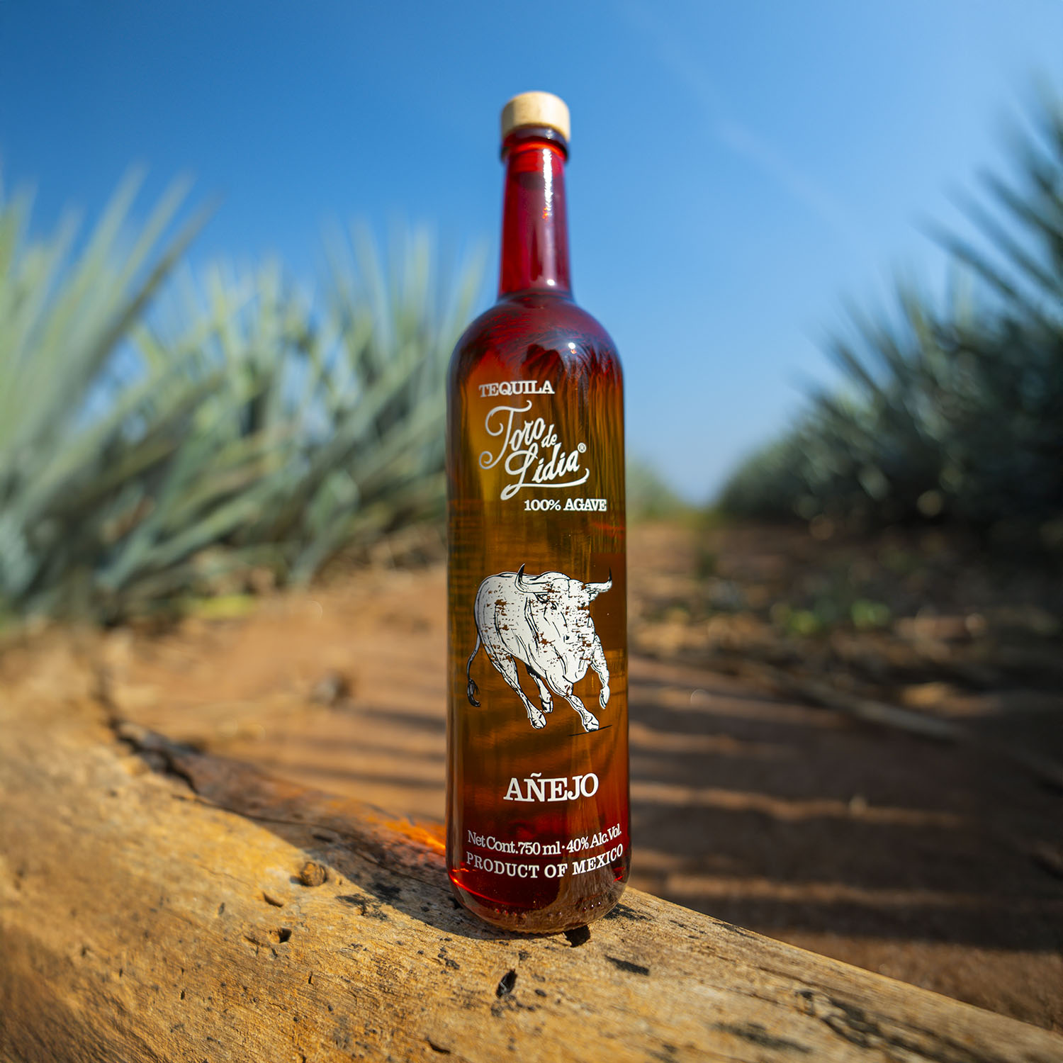tequila-toro-de-lidia_0001_Añejo