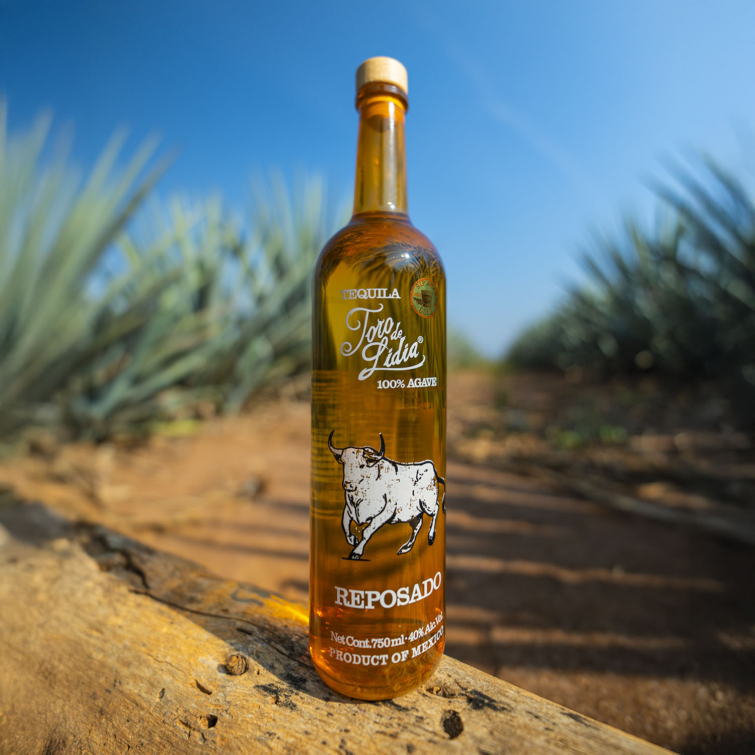 tequila-toro-de-lidia_Reposado-1